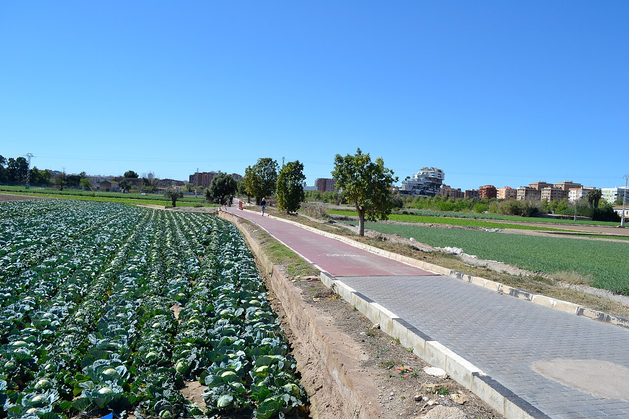 Fietspad door de huerta (moestuinen) van Valencia