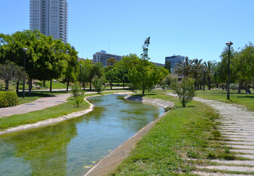 Cyclists riding through the Turia Park during a private bike tour in Valencia